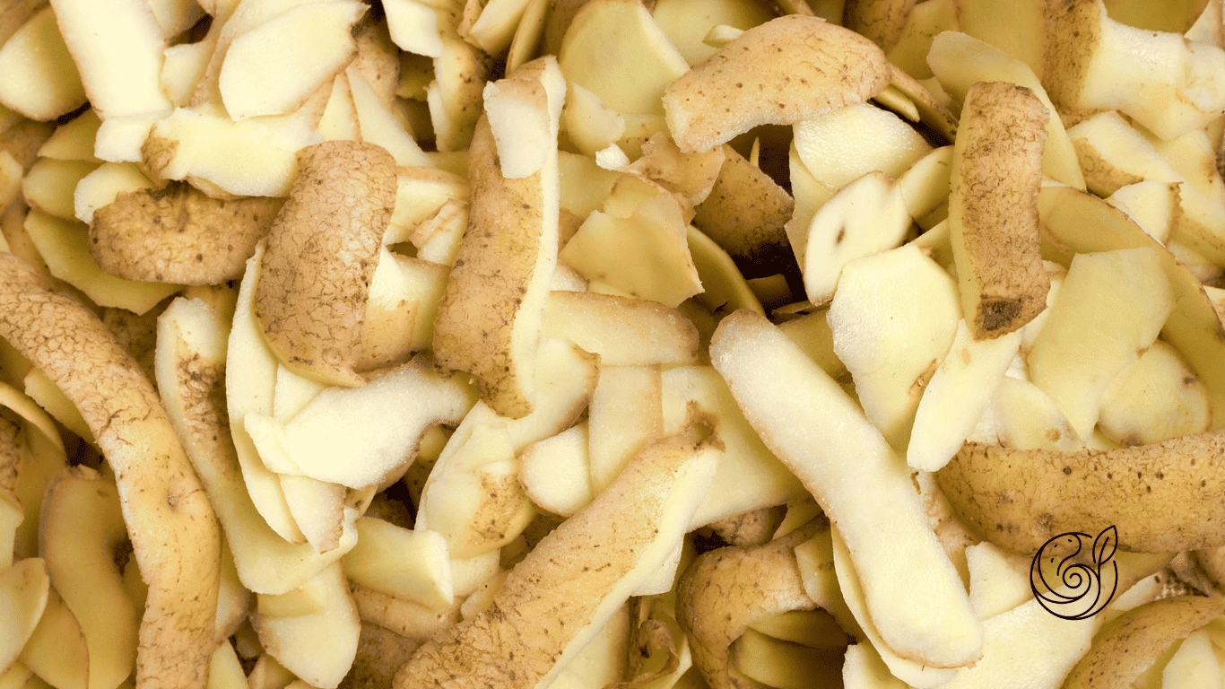 Frische Kartoffelschalen in großer Menge — Grundlage für das Kartoffelschalenmehl von Kartoffelkraft, Hof Schmeing Rhede