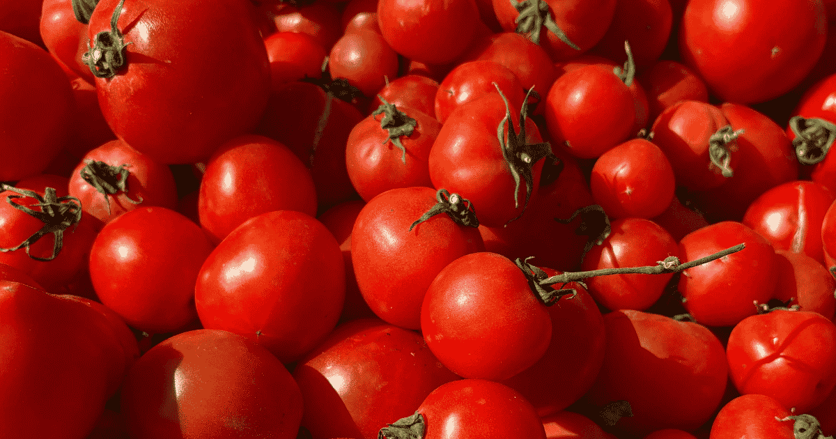 flora boost dnger Obstbume Dnger Langzeitwirkung