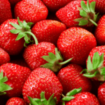 Frische rote Erdbeeren in Nahaufnahme — mit Kartoffelschalenmehl von Kartoffelkraft als natürlichem Kaliumlieferant zu mehr Aroma und besserer Ernte