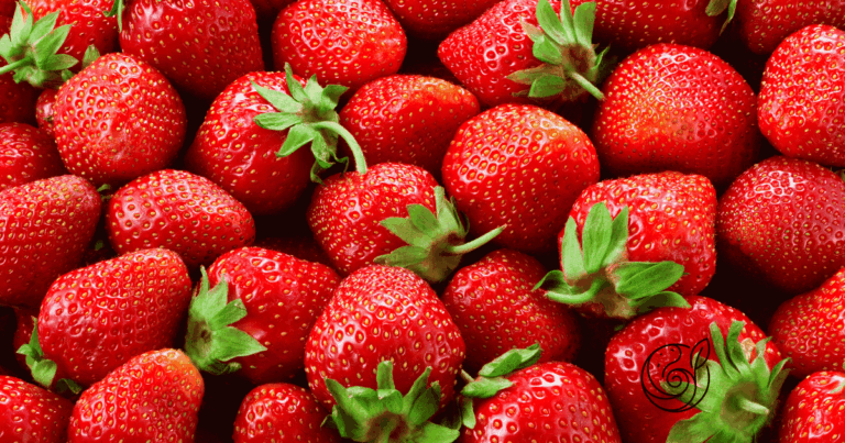 Frische rote Erdbeeren in Nahaufnahme — mit Kartoffelschalenmehl von Kartoffelkraft als natürlichem Kaliumlieferant zu mehr Aroma und besserer Ernte