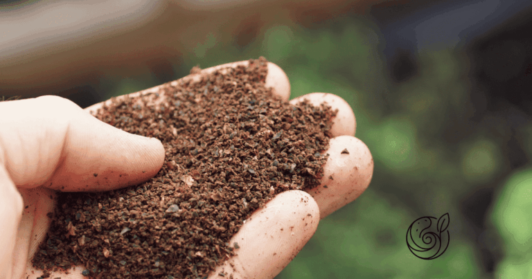 Eine Handvoll Kaffeesatz als natürlicher Bodenverbesserer — im Vergleich mit Eierschalen und Kartoffelschalenmehl von Kartoffelkraft