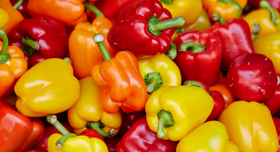 Bunte Paprikafrüchte in Rot, Orange und Gelb — Paprika profitiert besonders vom Kalium im Kartoffelschalenmehl von Kartoffelkraft
