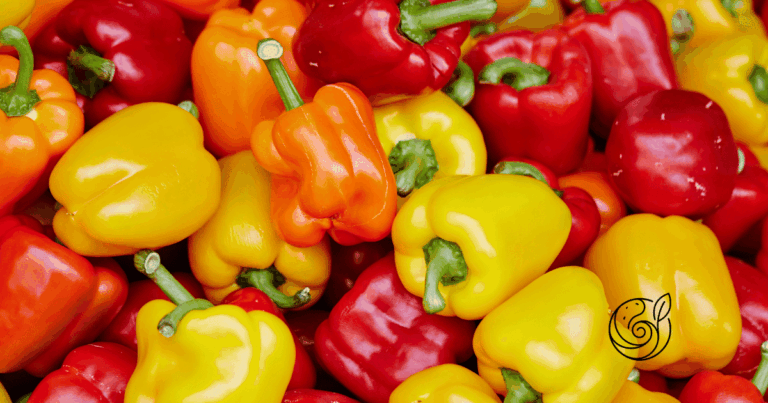 Bunte Paprikafrüchte in Rot, Orange und Gelb — Paprika profitiert besonders vom Kalium im Kartoffelschalenmehl von Kartoffelkraft